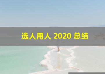 选人用人 2020 总结